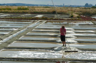 Khám phá nghề muối (Kỳ 1): Du lịch muối, về cội nguồn của vị mặn đắt nhất thế giới