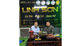 Thăm vườn lan var tiền tỷ Linh Sơn