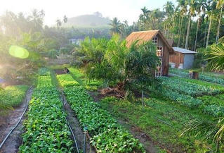 Muốn chuyển đổi đất lâm nghiệp sang đất trang trại sinh thái