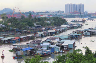 Ngư dân “mùa dịch” lênh đênh theo con nước