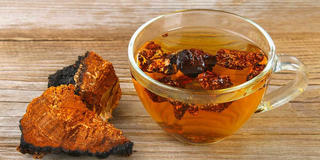 Nấm Chaga - Thần dược quý hiếm trị “bách bệnh”