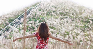 Tuyệt sắc Bình Liêu