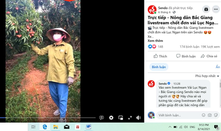 Khi nông dân lên sàn… thương mại điện tử