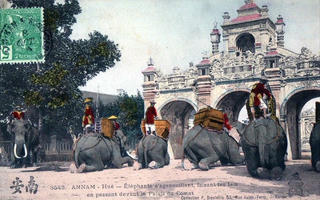 Ký ức Việt Nam (Kỳ 4): Đội tượng binh thời Nguyễn