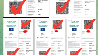 Hà Lan: “Độc chiêu” mua virus SARS-CoV-2 rồi tự nhiễm để nhận “thẻ xanh” thông hành