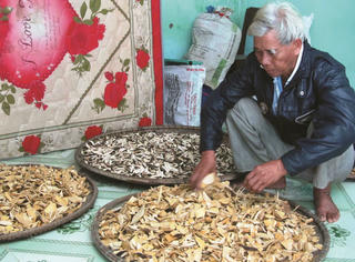 Lương y La Chí Thái - "cây cổ thụ” chuyên chữa bệnh miễn phí giúp buôn làng