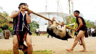 Lãnh án tù vì nghe hương ước xúi dại xẻ thịt con heo