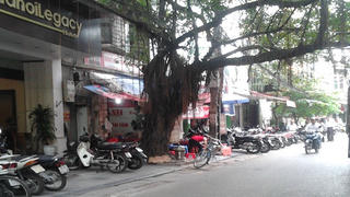 Hai người đàn ông phố cổ nhập viện sau màn xô sát