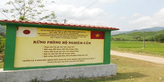 Bình Định: “Nóng” nạn phá rừng, khai thác gỗ
