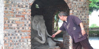 Dấu tích rêu phong đang phủ bóng thành cổ Luy Lâu