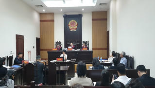 Bất ngờ tạm ngừng xét xử vụ Tuần Châu kiện Việt Tú