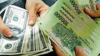 Vợ chồng Chủ tịch HĐQT Công ty Hoàng Gia hầu tòa 