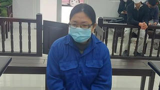 Nữ thư ký lừa đảo, chiếm đoạt tài sản của công ty đối tác