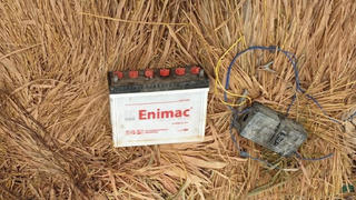 Khiến hàng xóm tử vong vì bẫy điện diệt chuột