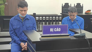 Đánh chết trộm chó, chủ nhà lĩnh án