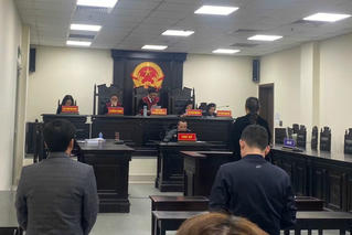 Dụ cùng "lướt sóng" nữ giám đốc lừa nam luật sư 20 tỷ đồng