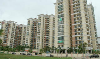 HoREA thúc chủ đầu tư sớm giao nhà để khách hàng kịp giải ngân trước 31/12/2016