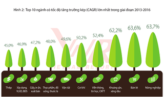 Doanh nghiệp nào tăng trưởng nhanh nhất Việt Nam?