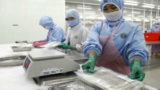 13 doanh nghiệp chế biến thủy sản xuất khẩu phía Nam phải ngừng sản xuất vì có công nhân dương tính với COVID-19