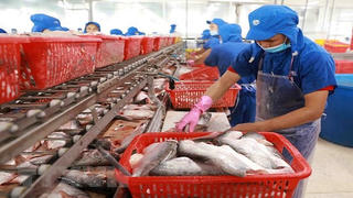 Tiền Giang dừng hoạt động khu công nghiệp, doanh nghiệp đề nghị "làm tốt phải cho duy trì"