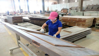 Kiến nghị chính sách ưu tiên để doanh nghiệp ngành gỗ bớt loay hoay khi thực hiện 'mục tiêu kép'