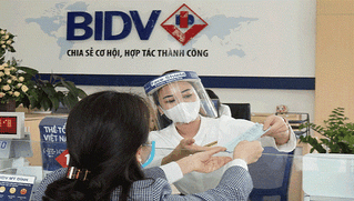 Hỗ trợ 5 triệu USD cho doanh nghiệp nhỏ và vừa do phụ nữ làm chủ ảnh hưởng bởi dịch COVID-19