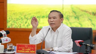 Nông nghiệp tiếp tục khẳng định là trụ đỡ của nền kinh tế 