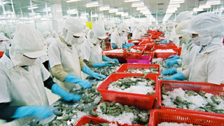 Doanh nghiệp, người dân được hỗ trợ thuế như thế nào theo Nghị quyết 406 của Quốc hội?