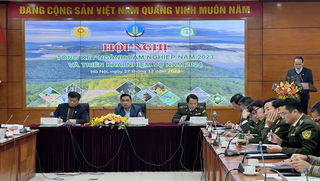 Việt Nam nhận được 41,2 triệu USD từ bán tín chỉ các- bon rừng