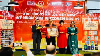 Xác lập 2 kỷ lục Việt Nam về nhân sâm Wisconsin Hoa Kỳ cho kỷ lục gia Đặng Đức Thành