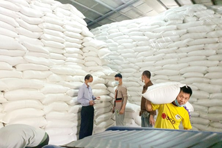 Cấp 50 tấn gạo từ nguồn dự trữ Quốc gia để hỗ trợ bà con Cao Bằng