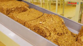 Nhập khẩu 62.053 tấn thuốc lá nguyên liệu trong năm 2021