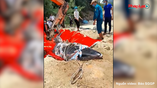 Cá voi 800kg trôi dạt vào bờ biển Hà Tĩnh
