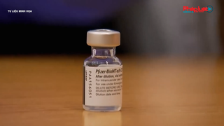 Pfizer đề nghị Mỹ phê duyệt liều vaccine tăng cường cho người trên 18 tuổi