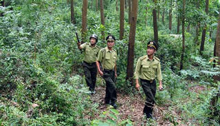 Cán bộ kiểm lâm bị giật súng, đánh sưng mặt và quỳ gối (*)