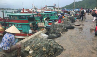 Nghề 'lạ' trên đảo Nam Du thơ mộng