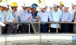 Thủ tướng: Formosa phải coi môi trường là vấn đề sống còn của dự án