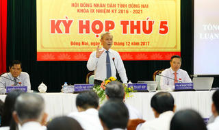 Đồng Nai: Phải xử lý 'mạnh tay' với ô nhiễm môi trường