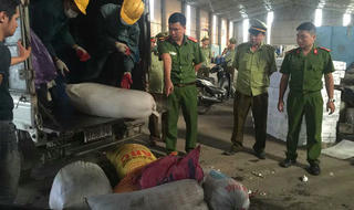 Chở 850 kg mỡ, lòng lợn hôi thối từ Hưng Yên đi tỉnh khác bán