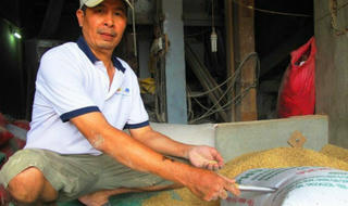 Ai là chủ nhân thực sự của túi vàng bỏ quên trong bao lúa?