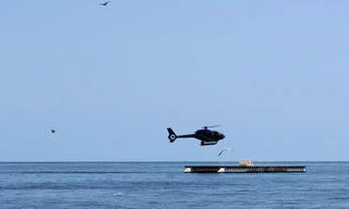 Mong muốn viết nên câu chuyện tình đẹp, đôi vợ chồng già chết thảm