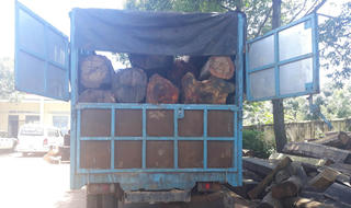 Nửa đêm truy bắt tài xế chở gỗ lậu 