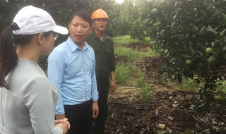 Vườn mẫu Thượng Lộc và kinh nghiệm Hà Tĩnh
