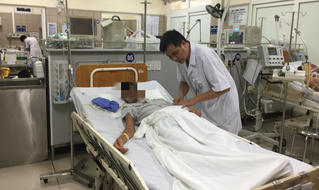 Chuyên gia chống độc chỉ cách xử lý khi bị ong đốt