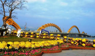 Dành gần 5,4 tỷ đồng ngân sách trang trí hoa Tết 2019