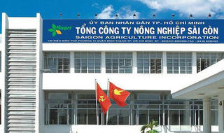 Thanh tra loạt vấn đề nổi cộm tại TP HCM