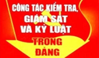 Kỷ luật Phó Trưởng ban Tổ chức tham mưu bổ nhiệm cán bộ không theo quy hoạch