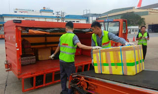 Sa thải 2 nhân viên bốc xếp ở sân bay Tân Sơn Nhất