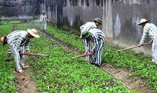 4 trường hợp không áp dụng tha tù trước thời hạn 