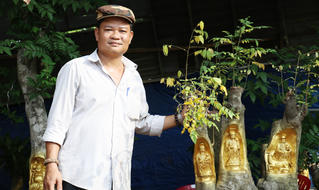 Độc đáo những bức tượng vàng 'ẩn mình' trên thân cây sống